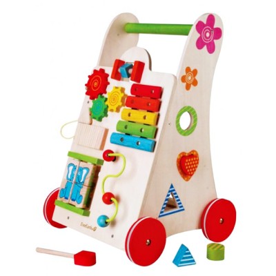 EverEarth Activity Walker