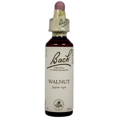 Bach Flower Remedy Walnut