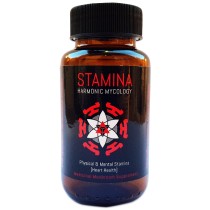 Harmonic Mycology Stamina 