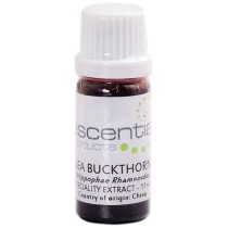 Escentia Seabuckthorn Fruit Oil 11ml